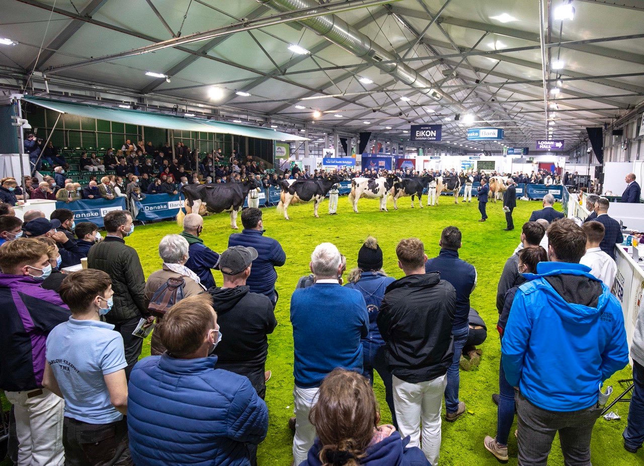 Winter Fair Gallery | Royal Ulster Agricultural Society