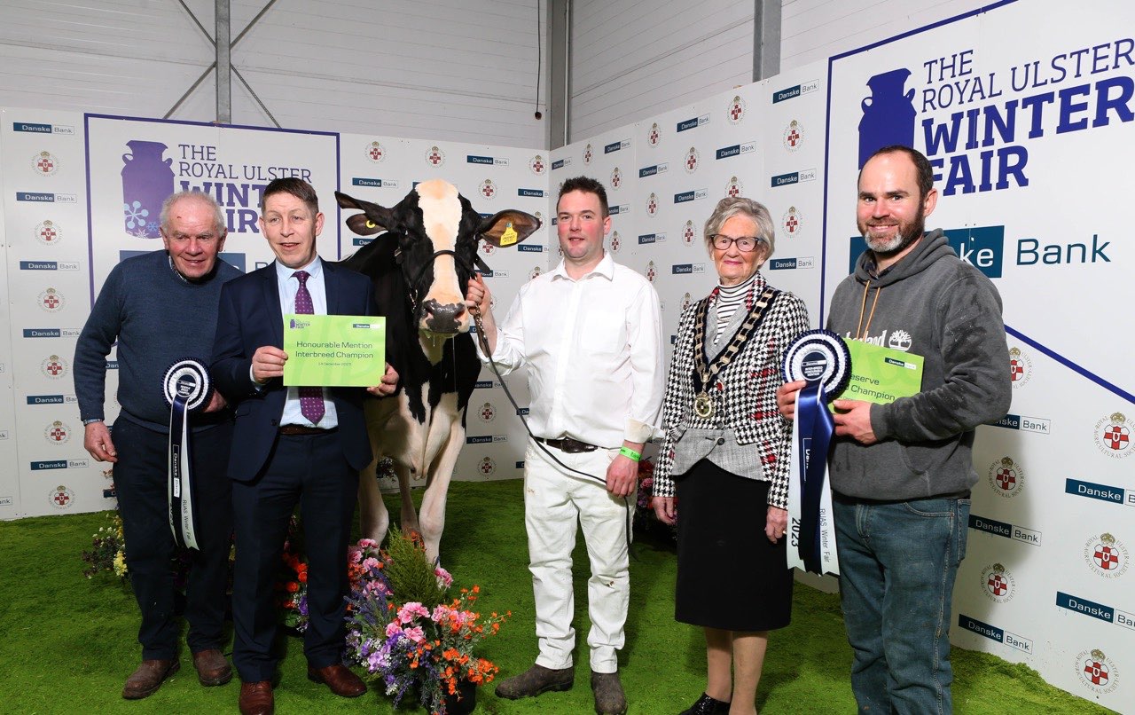 Winter Fair Gallery | gallery | Royal Ulster Agricultural Society