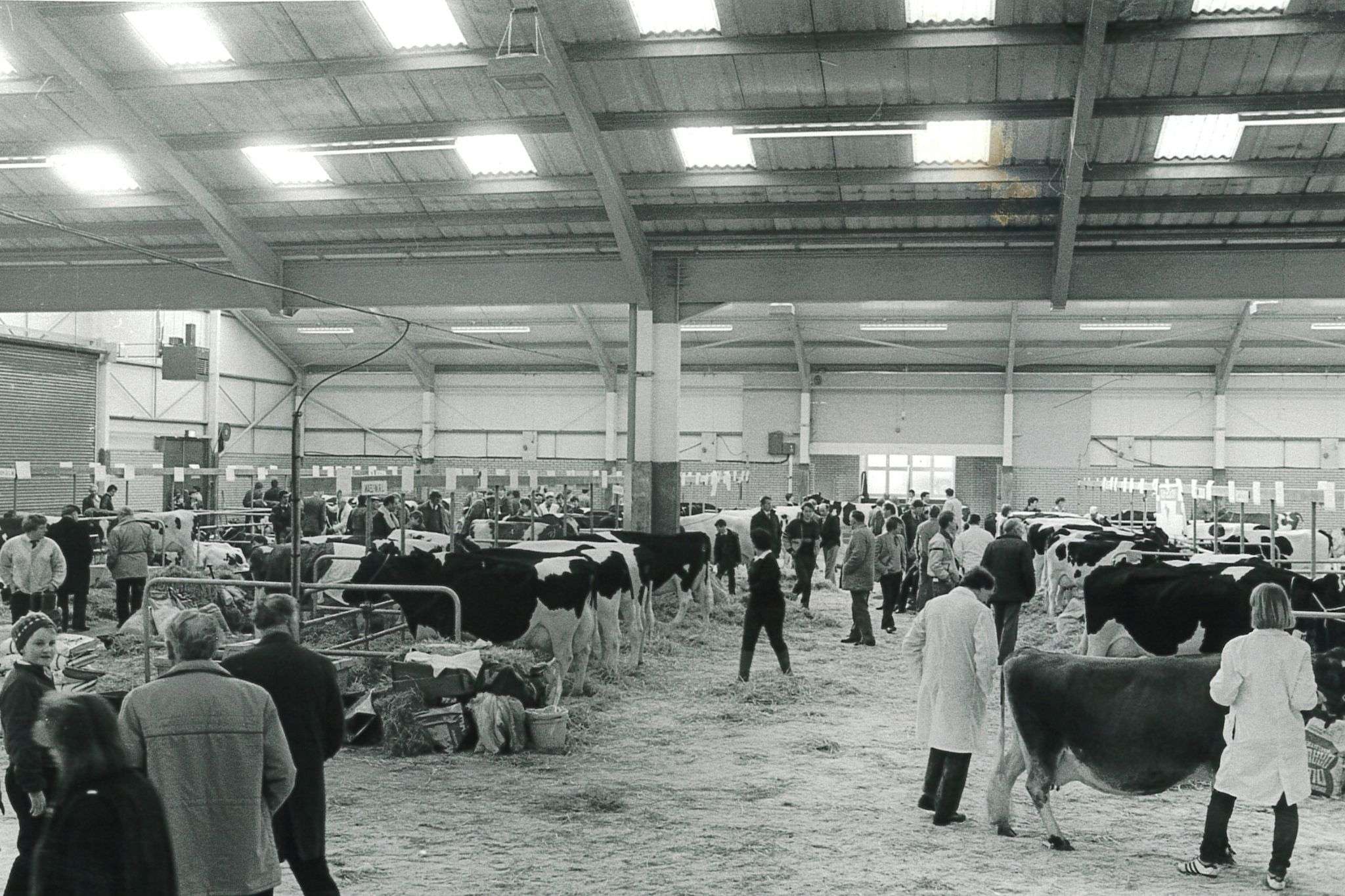 40 Years of the Winter Fair