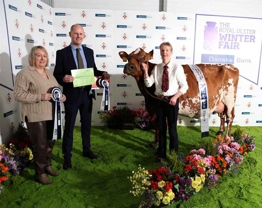 Winter Fair Gallery | gallery | Royal Ulster Agricultural Society