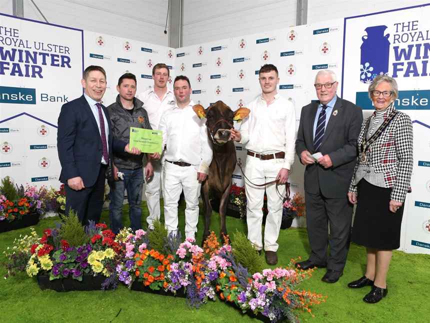 Winter Fair Gallery | gallery | Royal Ulster Agricultural Society