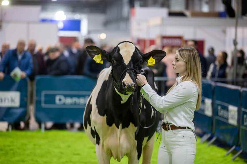 Winter Fair Gallery | gallery | Royal Ulster Agricultural Society