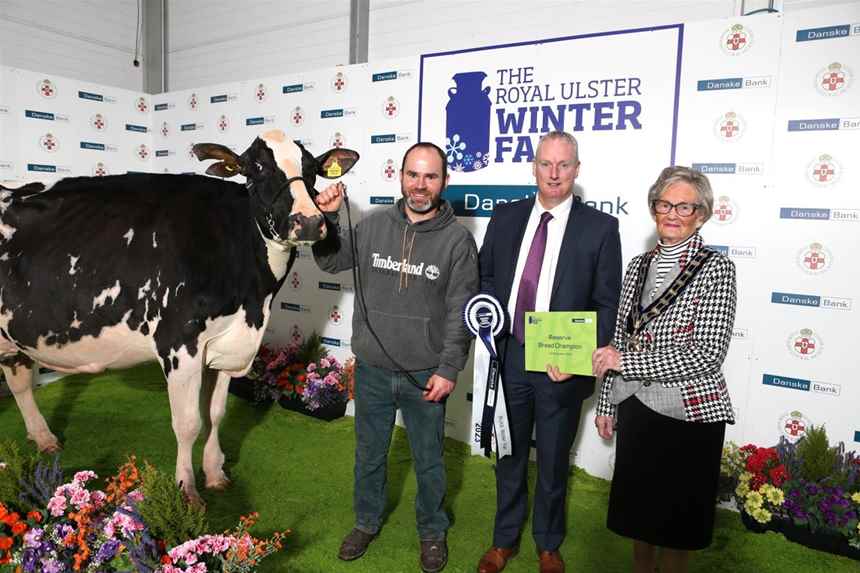 Winter Fair Gallery | gallery | Royal Ulster Agricultural Society