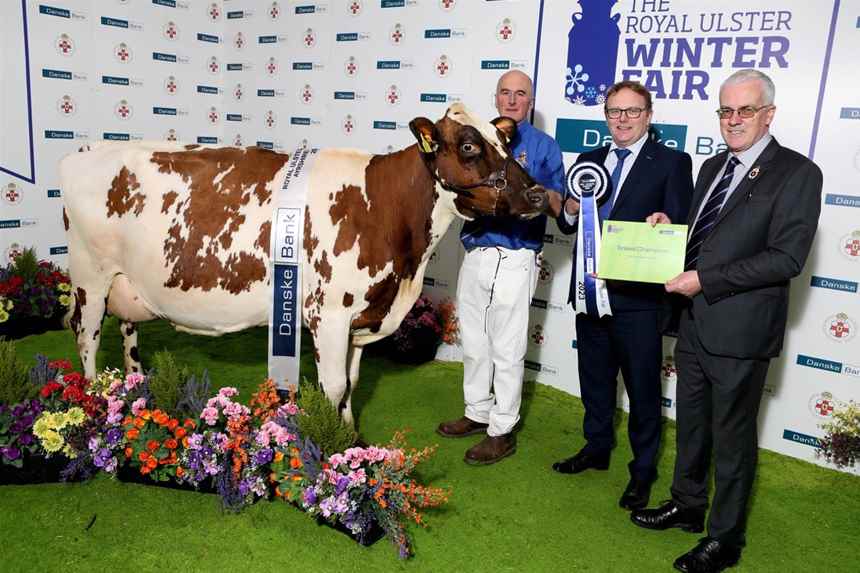 Winter Fair Gallery | gallery | Royal Ulster Agricultural Society