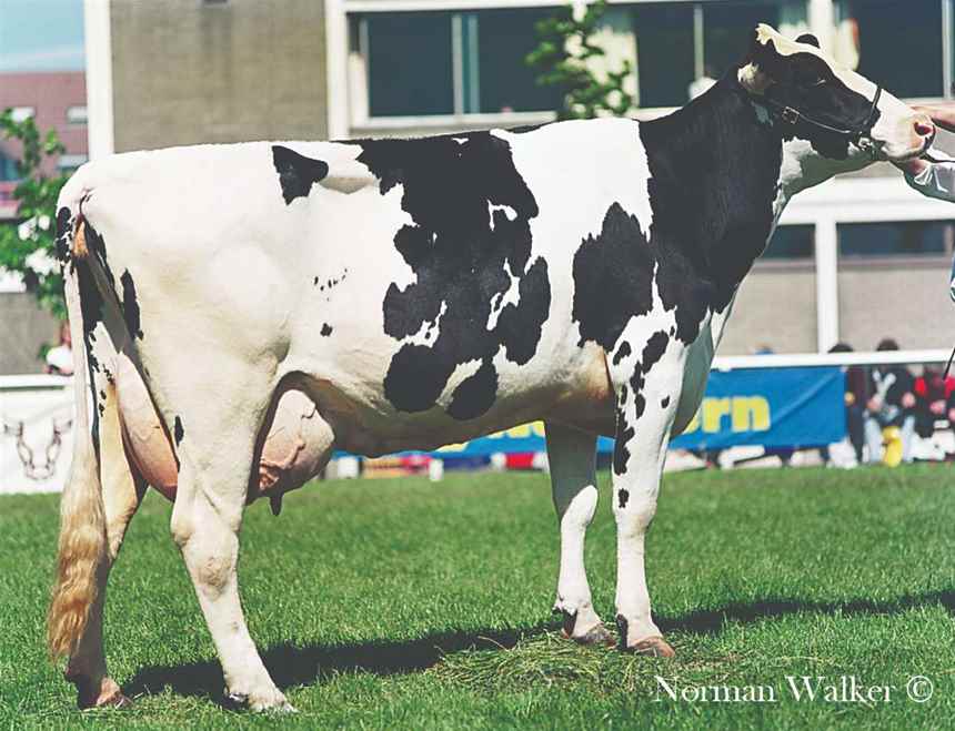 1988 Lowcraig June BG by William and W Ian Mountgomery