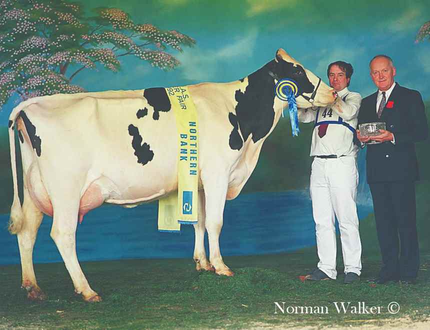 1992 Boghill Inspiration A Gloriette by M McCollum