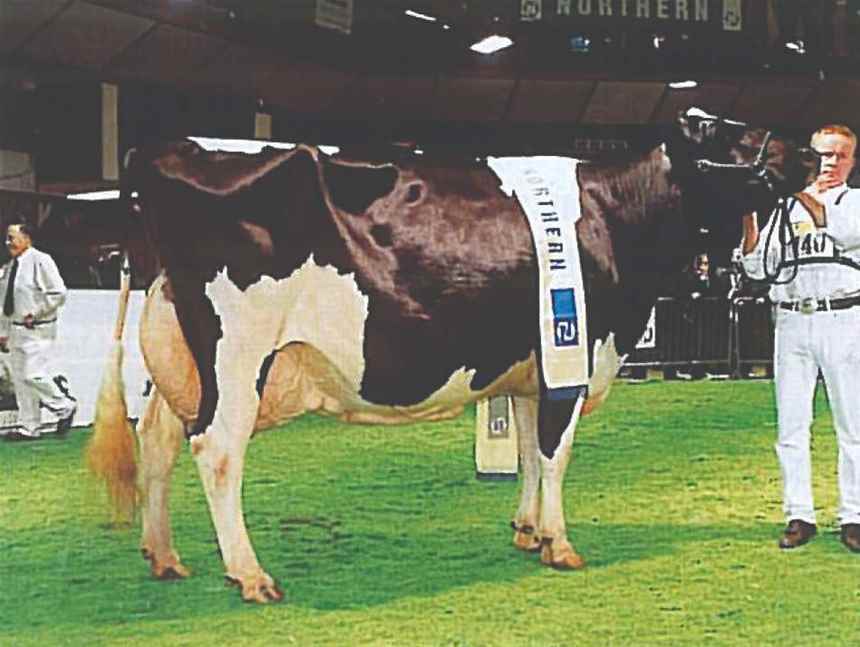 2001 Medway Supreme Maude EX96 by Sam McCormick