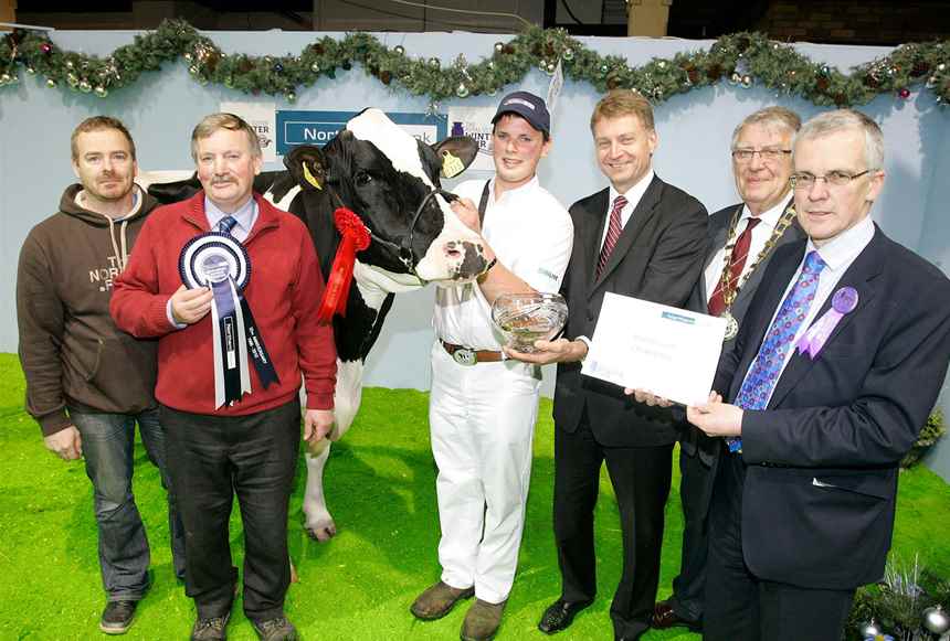 2010 Lumville Danoise 2 by Lumville Holsteins