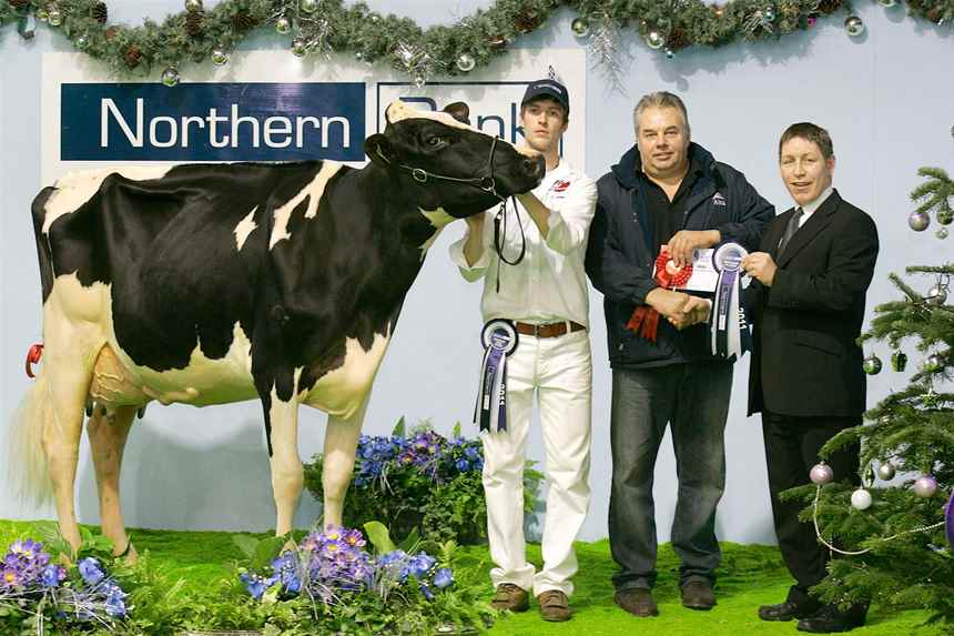 2011 Baldonnel MR S Raquel by Cyril and John Dowling