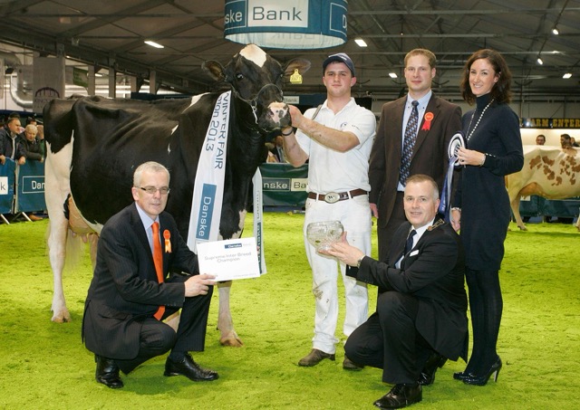 2013 Ballyginniff Goldwyn Cindy 2 EX 91 by JA Patterson and Sons
