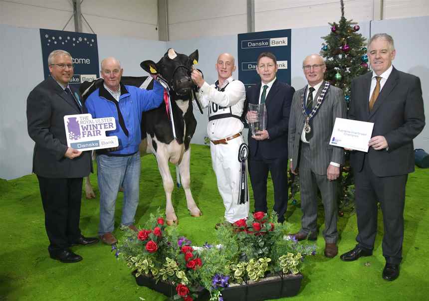 2018 Baldonnel FM Sunshine by Cyril Dowling