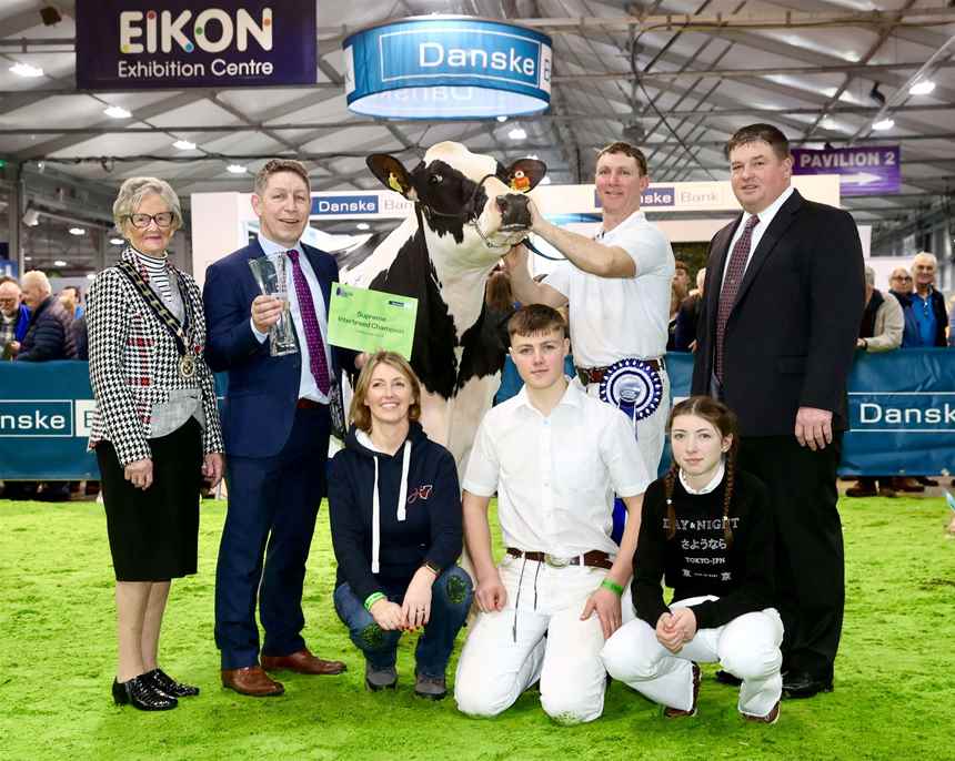 2023 Hallow Solomon Twizzle 3 by Hallow Holsteins