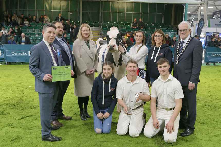 2024 Hallow Octain Twizzle by Hallow Holsteins