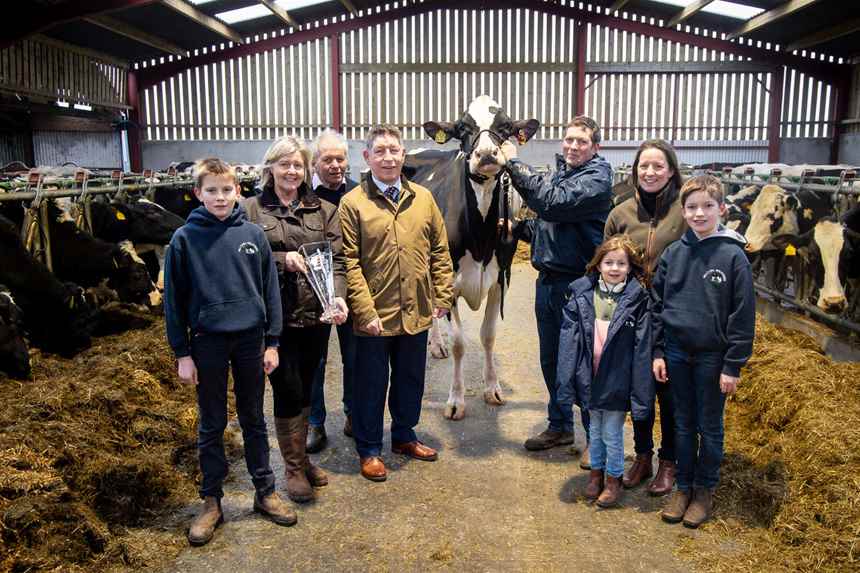 2025 Hilltara Lambda Doreen by Hilltara Holsteins