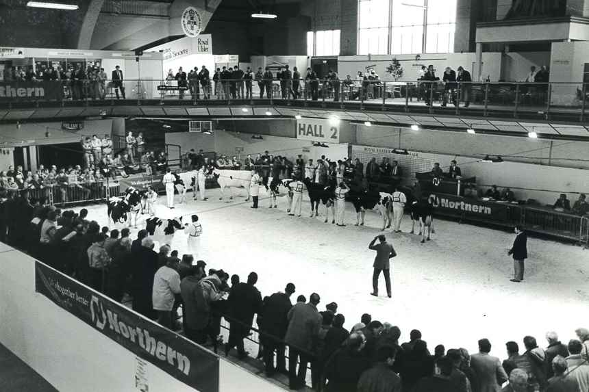 1989 Ringside Viewing 