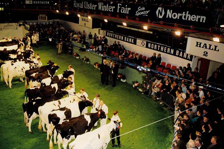 1997 A Perfect Viewpoint 
