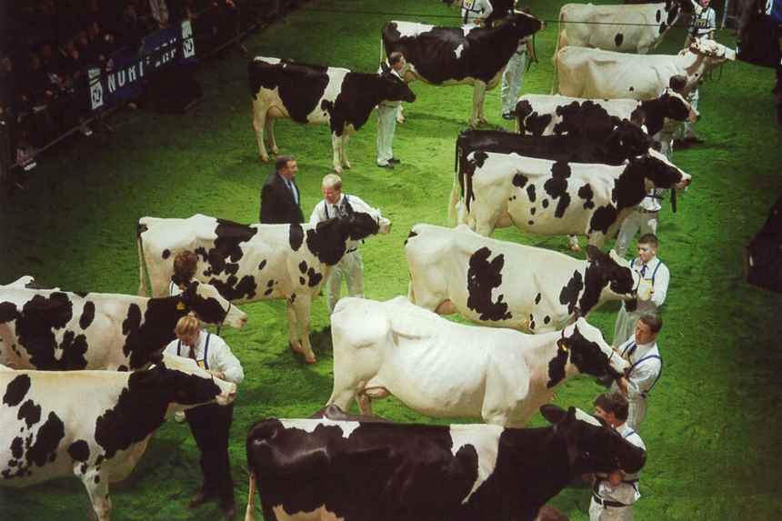 2000 Unbeatable Line Ups