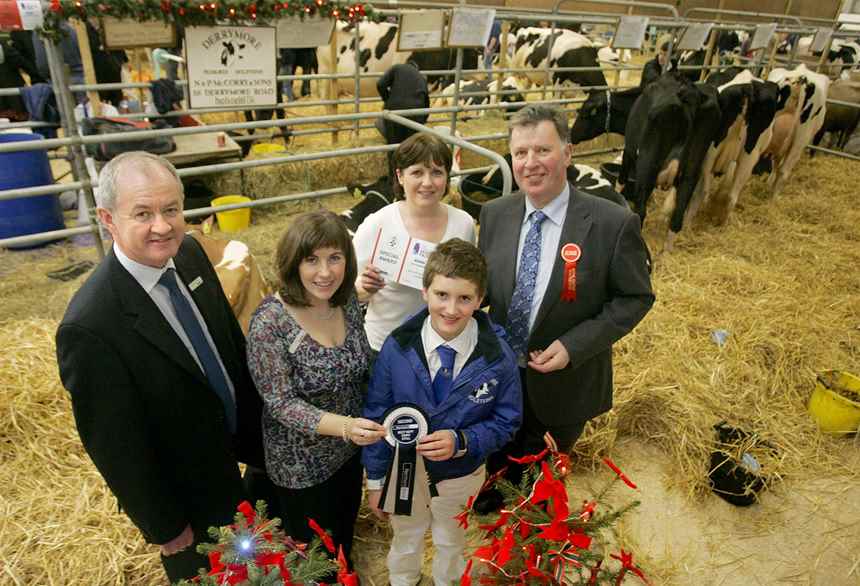 2011 Pristine Dairy Stalls