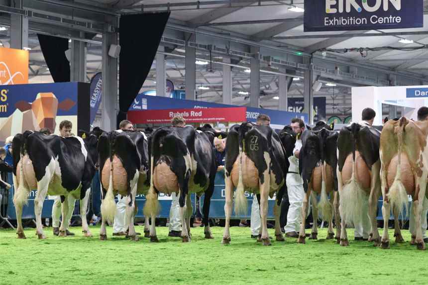 2023 Line Up