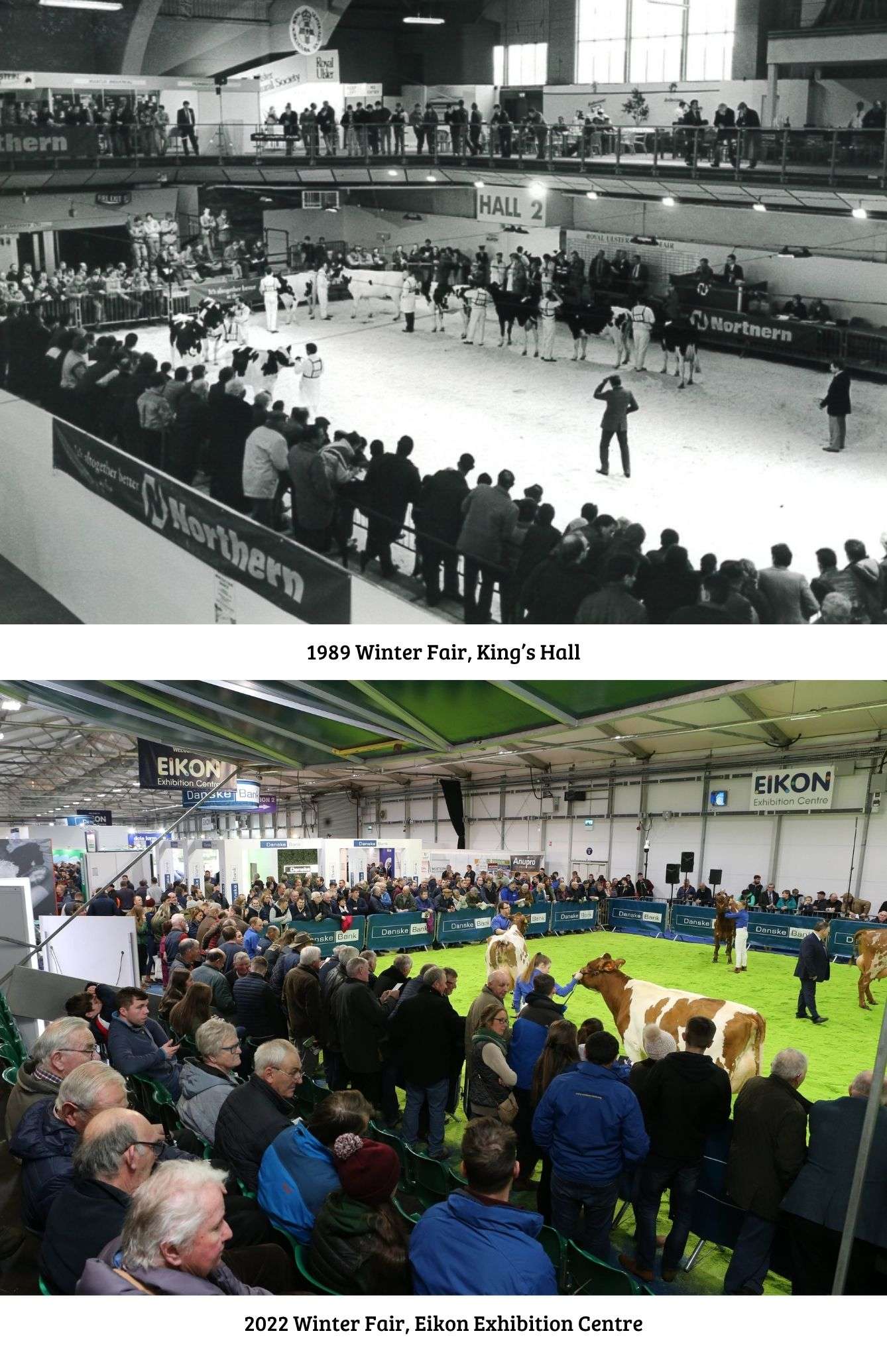 40 Years of the Winter Fair