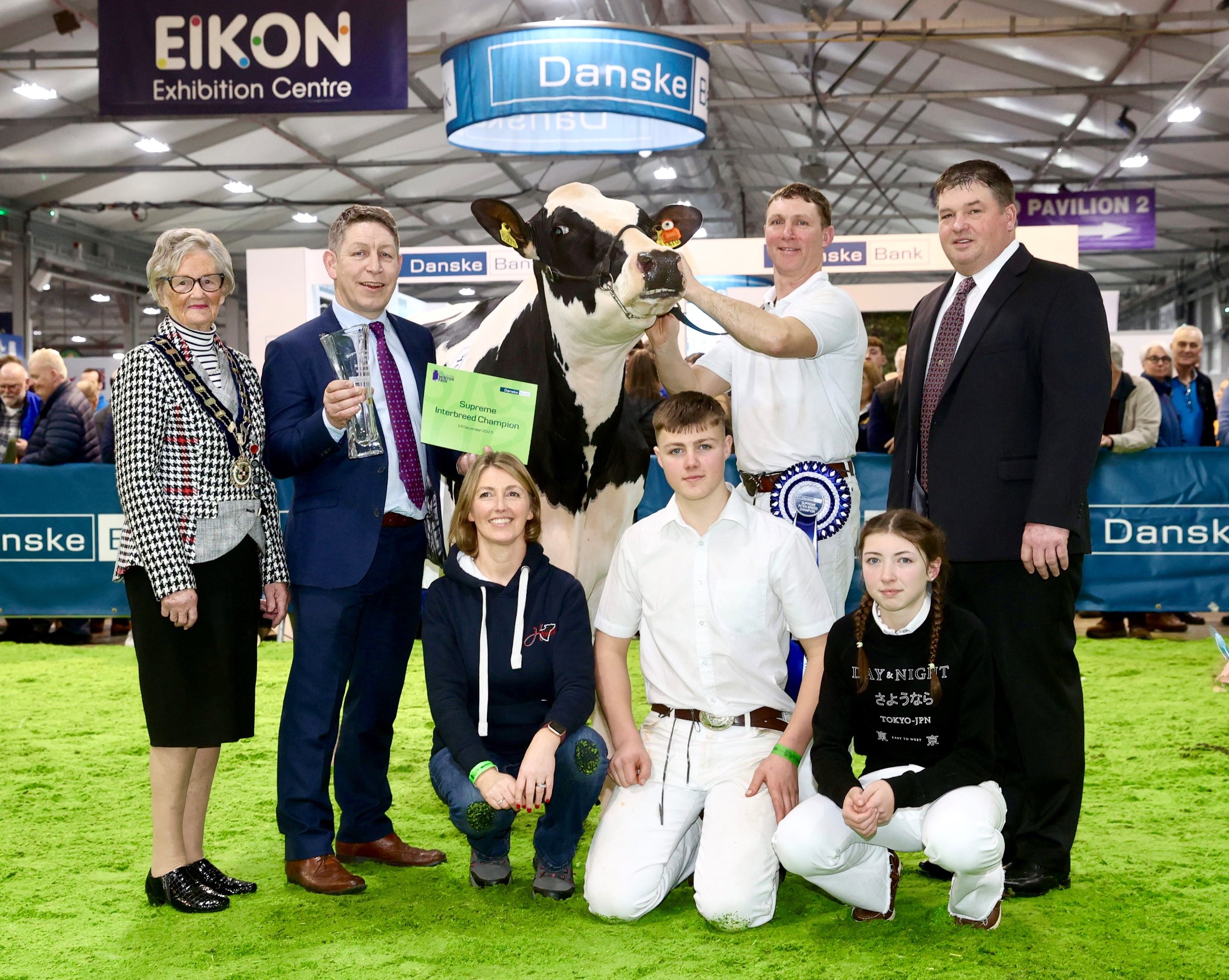 Dairy Champions Sparkle And Shine At The 37th Royal Ulster Winter Fair